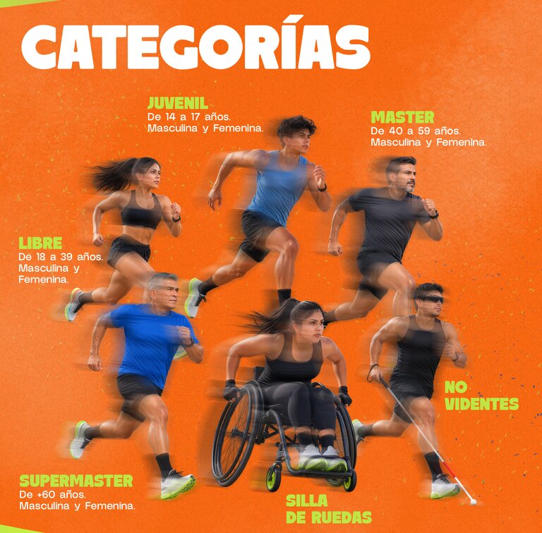 Categorías de participación